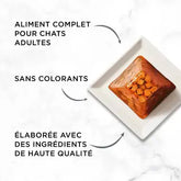 GOURMET® REVELATIONS® au Saumon Aliment Humide Chat - Bouchées en gelée (4x57g)